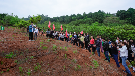 省pp电子集团开展龙泉山都会森林公园 “包山头”植树活动