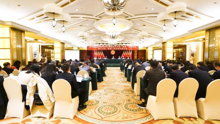 pp电子集团第一届第一次职代会暨工会第一届第二次会员代表大会胜利召开
