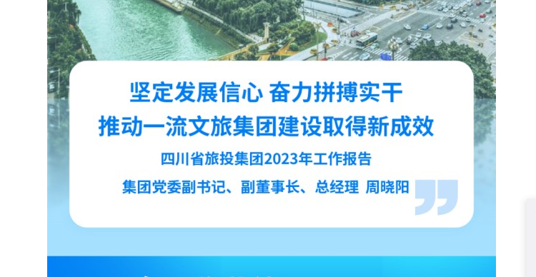 四川省pp电子集团2023年岁情报告