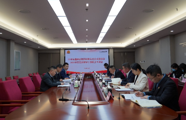 pp电子集团党委书记、董事长任丁出席逍遥旅馆集团2022年度党员向导干部民主生涯会