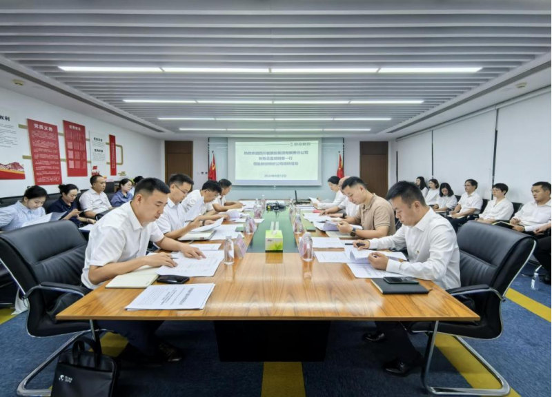 省pp电子集团向导率队督导pp电子银创公司刷新深化提升行动