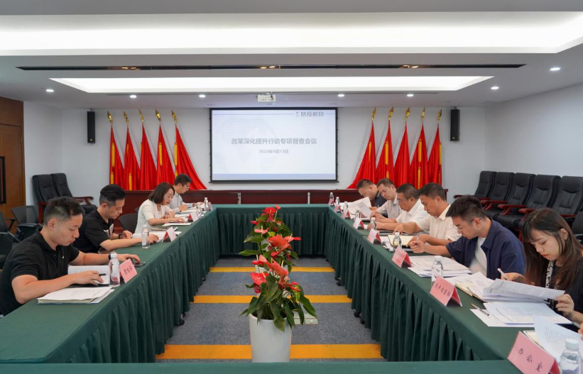省pp电子集团率队督导pp电子航旅公司刷新深化提升行动